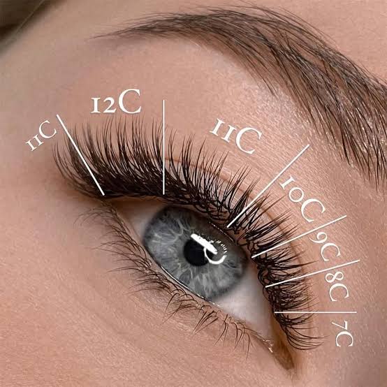 Eye diagram showing eyelash extension diameter and curl labels used by lash artists